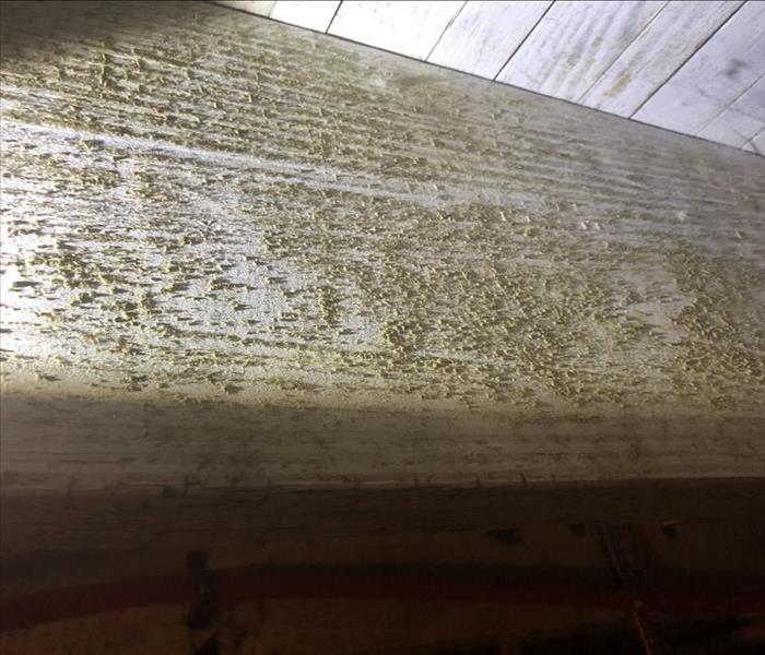 Mold growth on wood beam.