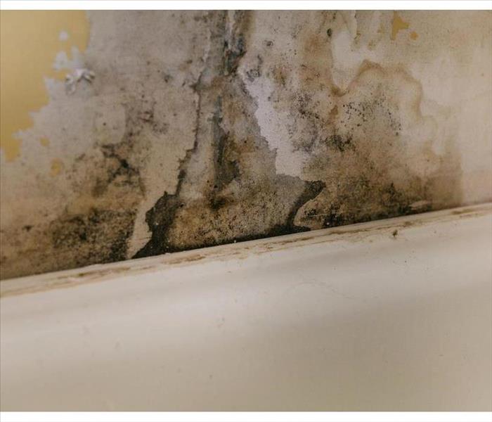 Wall with mold growth