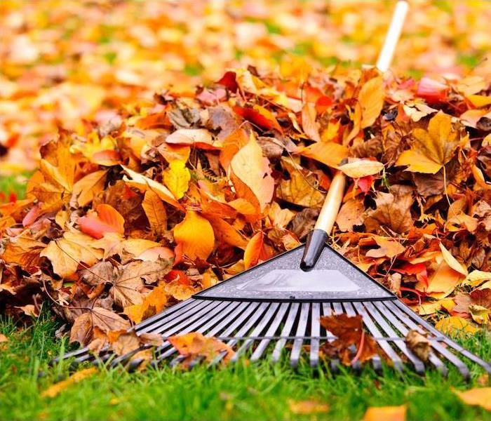  img src =”debris” alt = " a rake sitting on top of a pile of autumn leaves” >