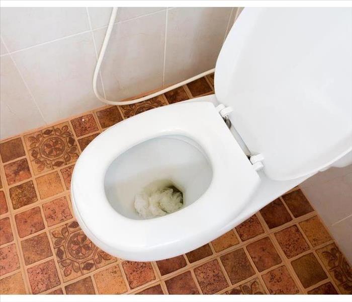 Clogged toilet